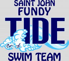 Fundy tide logo grey background
